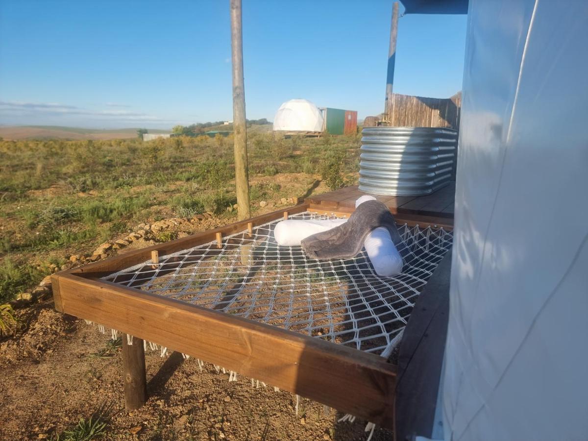 Pom Gratz - Ecodomes Hotel Hartebeesrivier Exterior photo