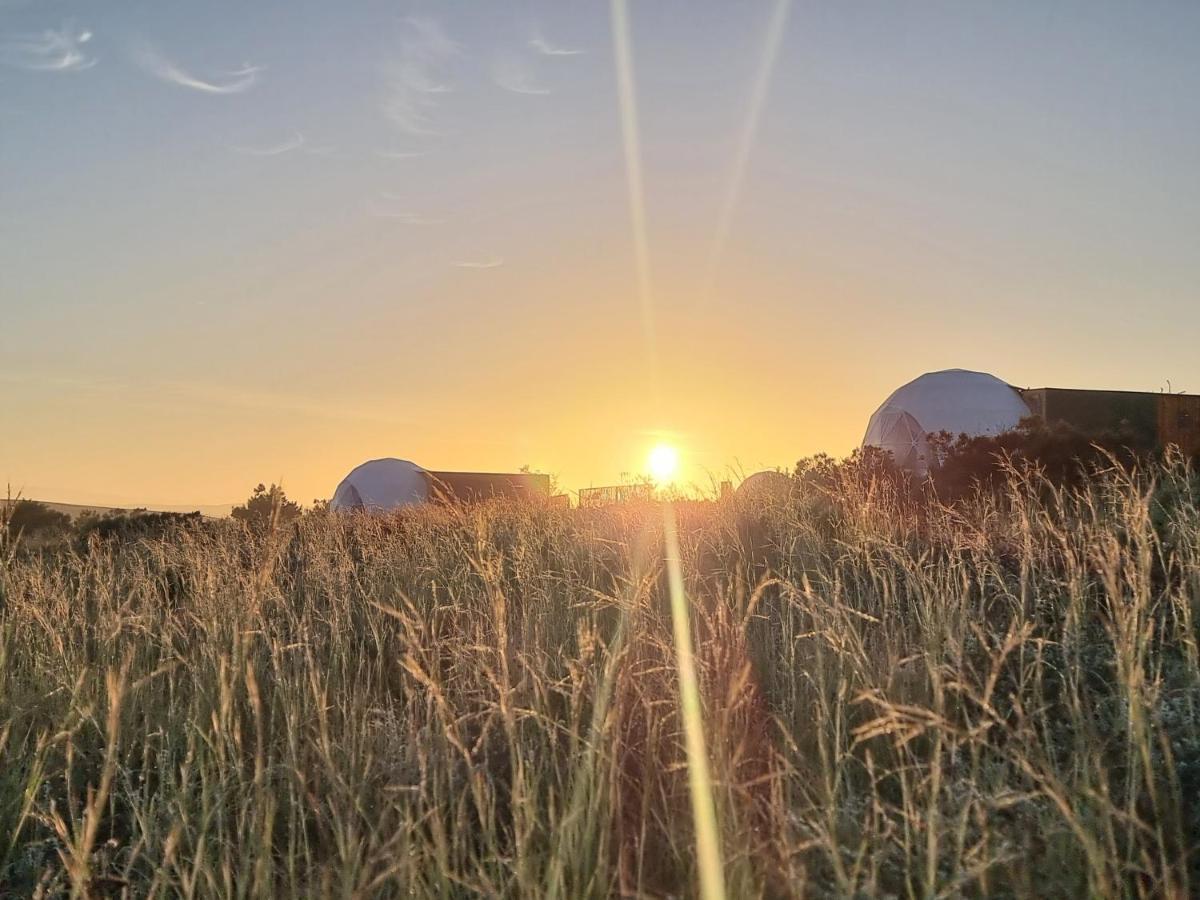 Pom Gratz - Ecodomes Hotel Hartebeesrivier Exterior photo
