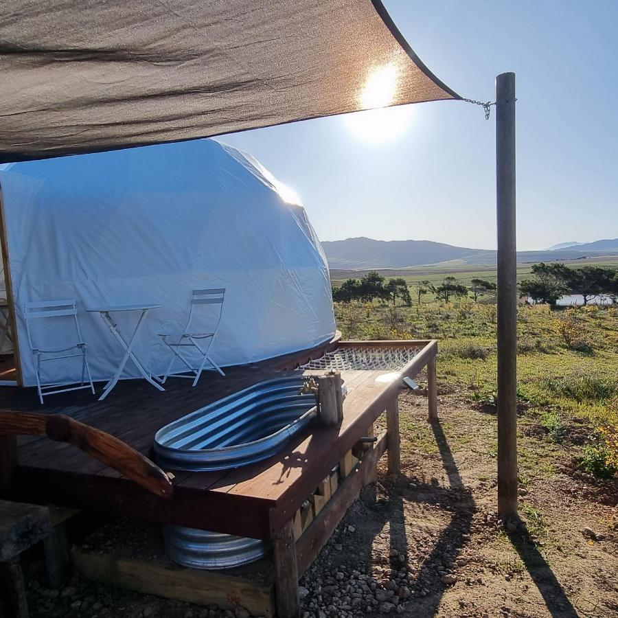 Pom Gratz - Ecodomes Hotel Hartebeesrivier Exterior photo